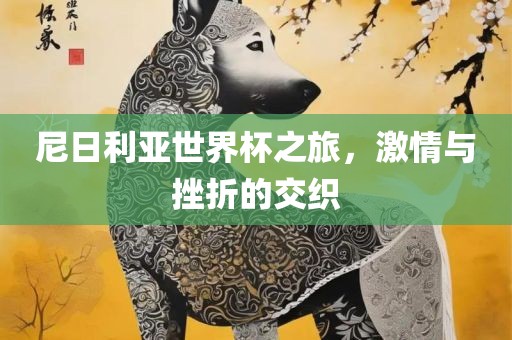 尼日利亚世界杯之旅，激情与挫折的交织
