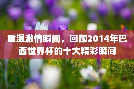 重温激情瞬间，回顾2014年巴西世界杯的十大精彩瞬间