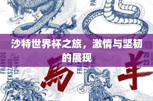 沙特世界杯之旅，激情与坚韧的展现