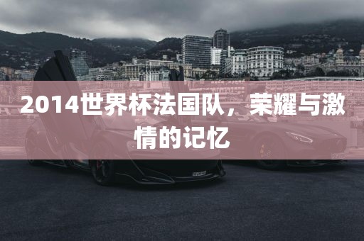 2014世界杯法国队，荣耀与激情的记忆