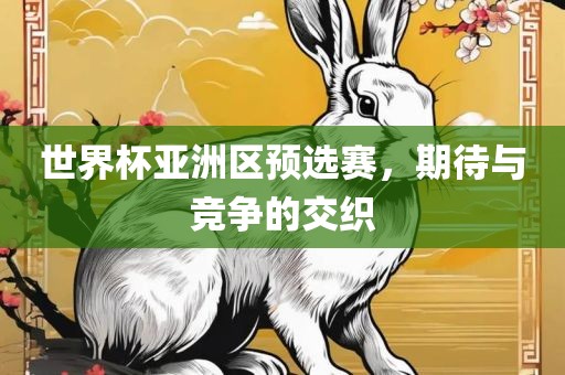 世界杯亚洲区预选赛，期待与竞争的交织