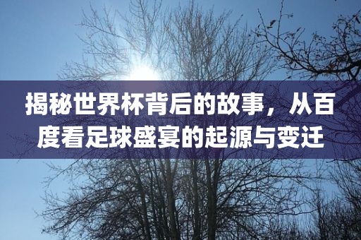 揭秘世界杯背后的故事，从百度看足球盛宴的起源与变迁