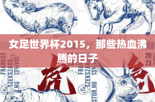 女足世界杯2015，那些热血沸腾的日子