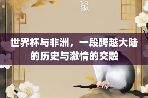 世界杯与非洲，一段跨越大陆的历史与激情的交融