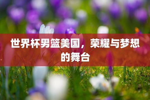 世界杯男篮美国，荣耀与梦想的舞台