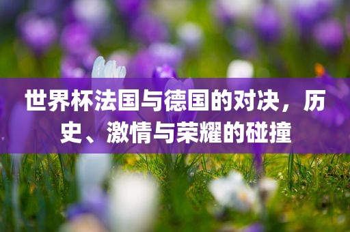 世界杯法国与德国的对决，历史、激情与荣耀的碰撞漯河市盈旭机械设备有限公司