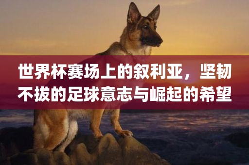 世界杯赛场上漯河市盈旭机械设备有限公司的叙利亚，坚韧不拔的足球意志与崛起的希望