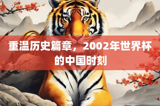重温历史篇章，2002年世界杯的中国时刻