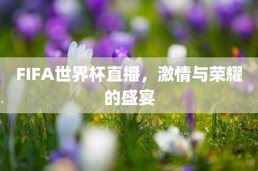 FIFA世界杯直播，激情与荣耀的盛宴