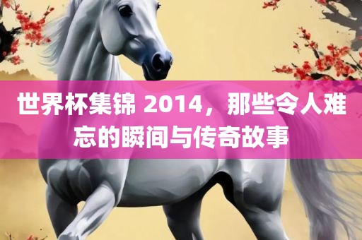 世界杯集锦 2014，那些令人难忘的瞬间与传奇故事