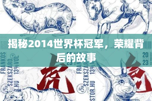 揭秘2014世界杯冠军，荣耀背后的故事