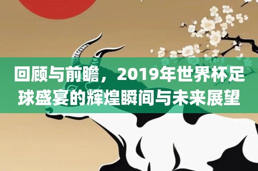 回顾与前瞻，2019年世界杯足球盛宴的辉煌瞬间与未来展望