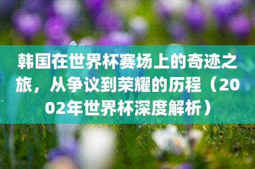 韩国在世界杯赛场上的奇迹之旅，从争议到荣耀的历程（2002年世界杯深度解析）