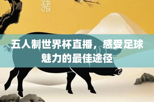 五人制世界杯直播，感受足球魅力的最佳途径