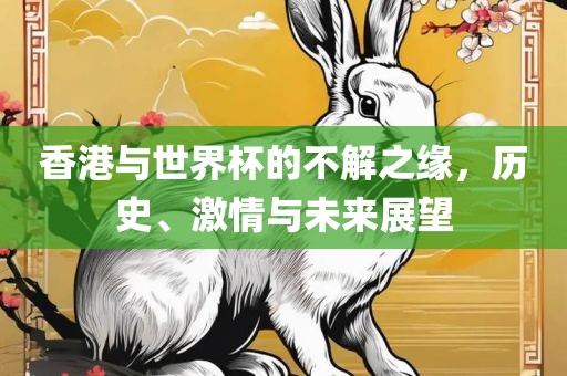 香港与世界杯的不解之缘，历史、激情与未来展望