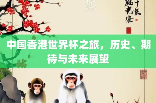 中国香港世界杯之旅，历史、期待与未来展望
