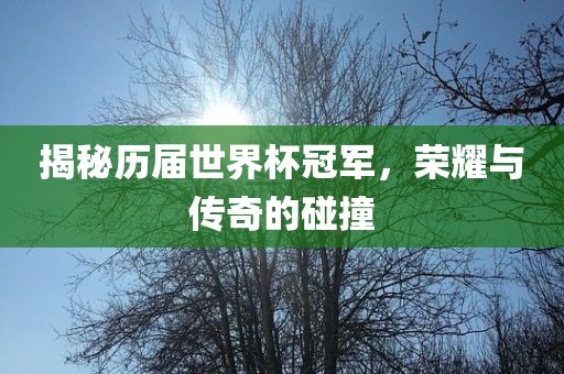 揭秘历届世界杯冠军，荣耀与传奇的碰撞