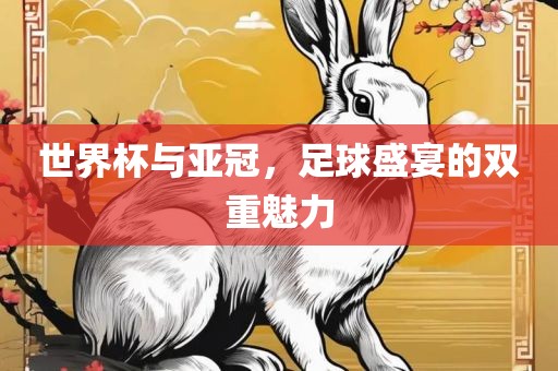 世界杯与亚冠，足球盛宴的双重魅力