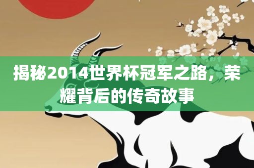 揭秘2014世界杯冠军之路，荣耀背后的传奇故事