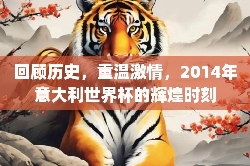 回顾历史，重温激情，2014年意大利世界杯的辉煌时刻
