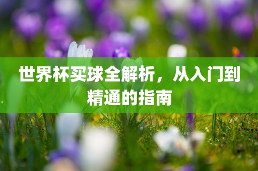 世界杯买球