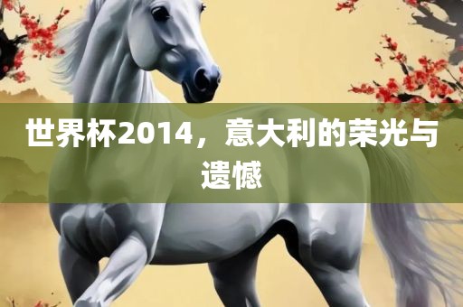 世界杯2014，意大利的荣光与遗憾