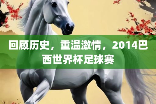 回顾历史，重温激情，2014巴西世界杯足球赛