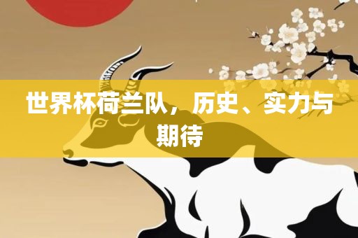 世界杯荷兰队，历史、实力与期待