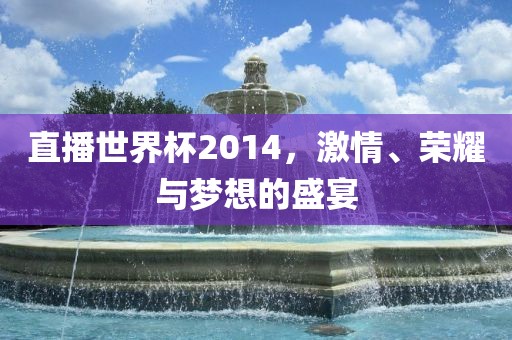 直播世界杯2014，激情、荣耀与梦想的盛宴