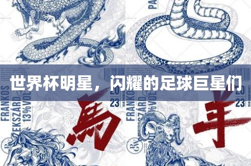 世界杯明星，闪耀的足球巨星们