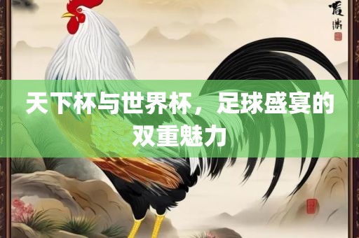 天下杯与世界杯，足球盛宴的双重魅力