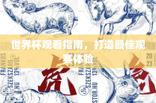 世界杯观看指南，打造最佳观赛体验