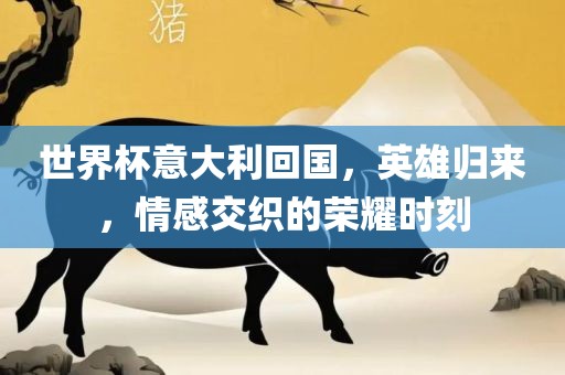 世界杯意大利回国，英雄归来，情感交织的荣耀时刻