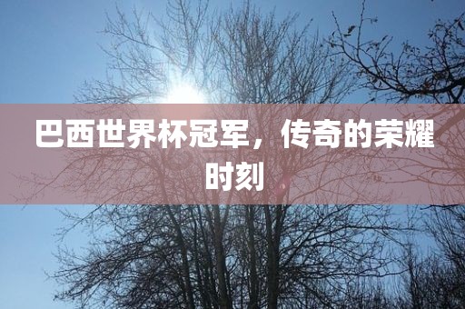 巴西世界杯冠军，传奇的荣耀时刻