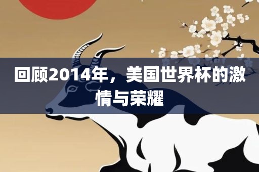 回顾2014年，美国世界杯的激情与荣耀