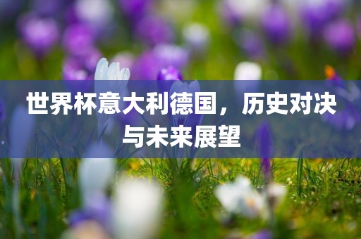 世界杯意大利德国，历史对决与未来展望