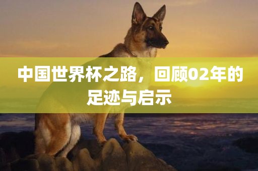 中国世界杯之路，回顾02年的足迹与启示