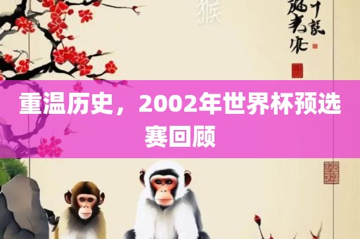 重温历漯河市盈旭机械设备有限公司史，2002年世界杯预选赛回顾