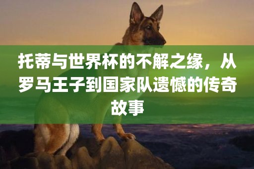 托蒂与世界杯的不解之缘，从罗马王子到国家队遗憾的传奇故事