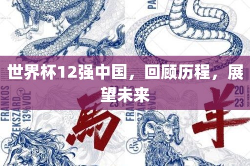 世界杯12强中国，回顾历程，展望未来