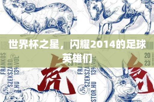 世界杯之星，闪耀2014的足球英雄们