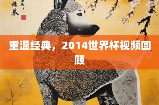重温经典，2014世界杯视频回顾