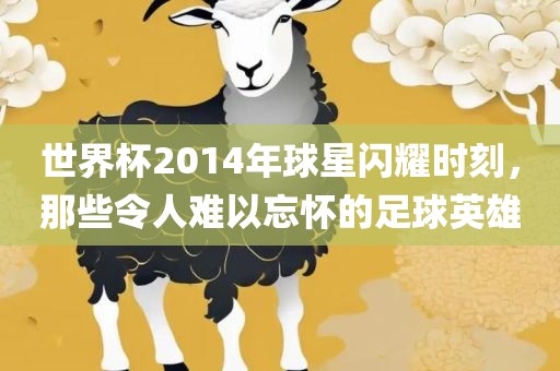 世界杯2014年球星闪耀时刻，那些令人难以忘怀的足球英雄