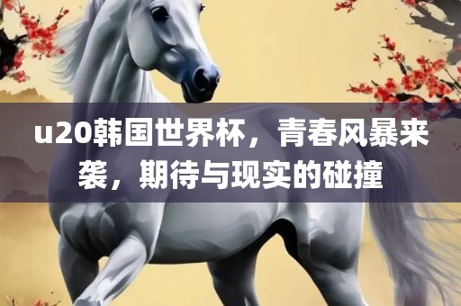 u20韩国世界杯，青春风暴来袭，期待与现实的碰撞