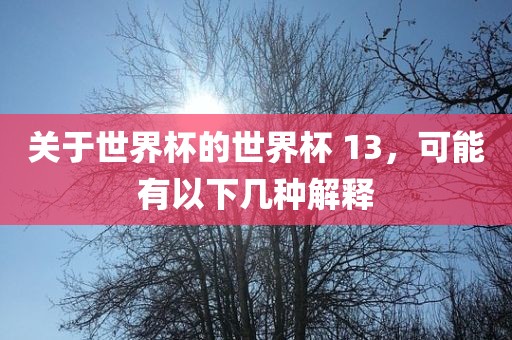 关于世界杯的世界杯 13，可能有以下几种解释