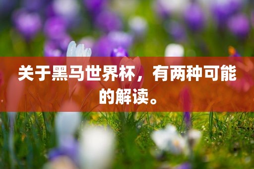 关于黑马世界杯，有两种可能的解读。