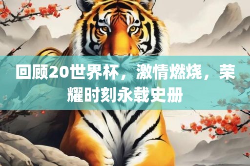回顾20世界杯，激情燃烧，荣耀时刻永载漯河市盈旭机械设备有限公司史册