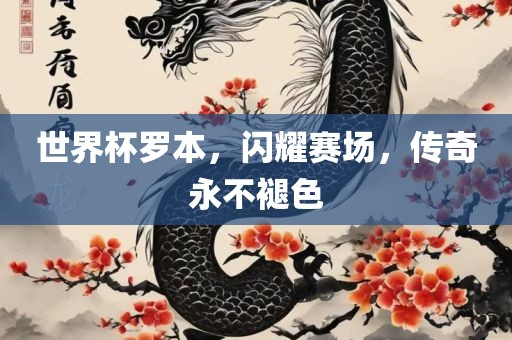 世界杯罗本，闪耀赛场，传奇永不褪色