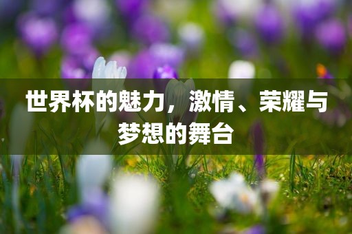 世界杯的魅力，激情、荣耀与梦想的舞台