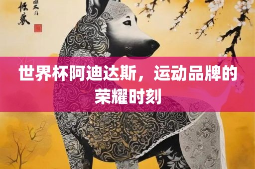 世界杯阿迪达斯，运动品牌的荣耀时刻